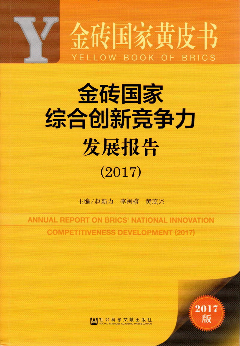 大鸡巴操嫩逼免费视频金砖国家综合创新竞争力发展报告（2017）